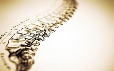 Dott. Andrea Zanella Osteopata Fisioterapista