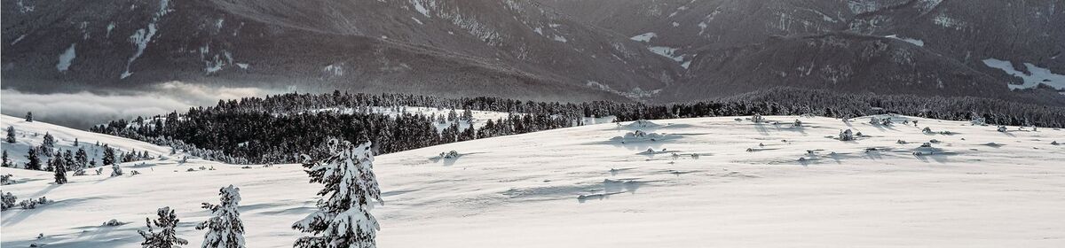 Banner villanderer alm c tobias kaser photography 40