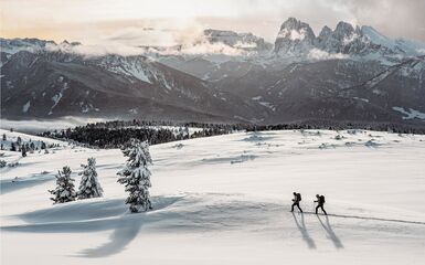 Escursionismo Parma - Emozioni sulla neve ciaspolata in Valle Isarco