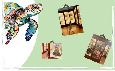 Gioco-tour Museo della Specola