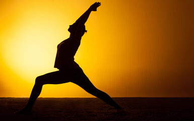 YOGA Online 2026 PURIFICAZIONE ED EQUILIBRIO parte 2