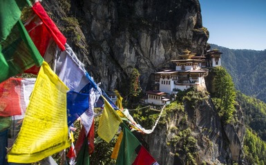 Bhutan e Calcutta, il festival dei rododendri