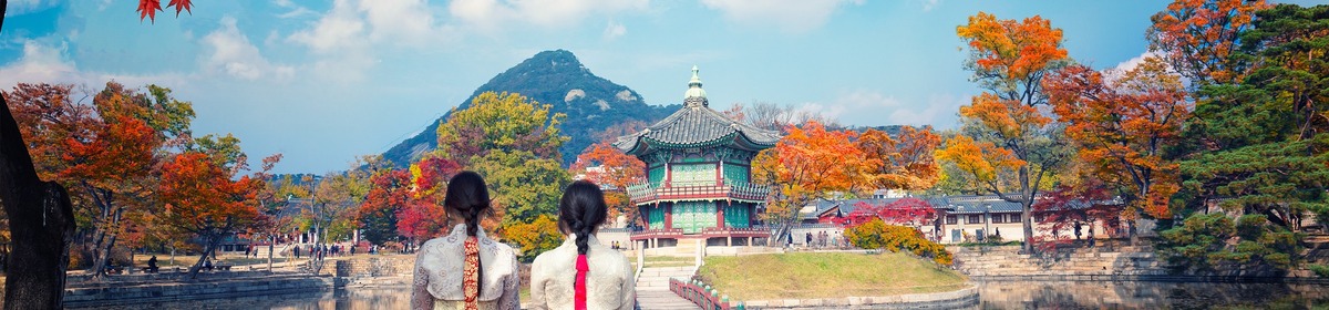 Banner corea del sud cosa vedere trolleygirl