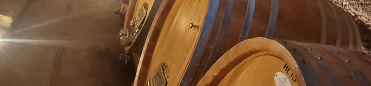 Banner cantina v 4 1140x2000