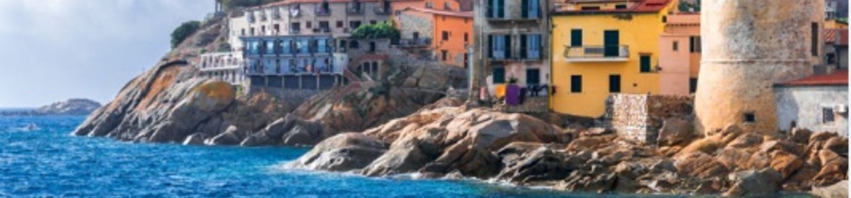 Banner giglio
