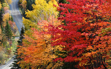 Foliage d'autunno in Québec  