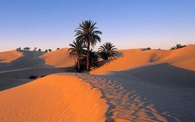 Escursionismo Parma - Tunisia . Il giardino del nord Africa