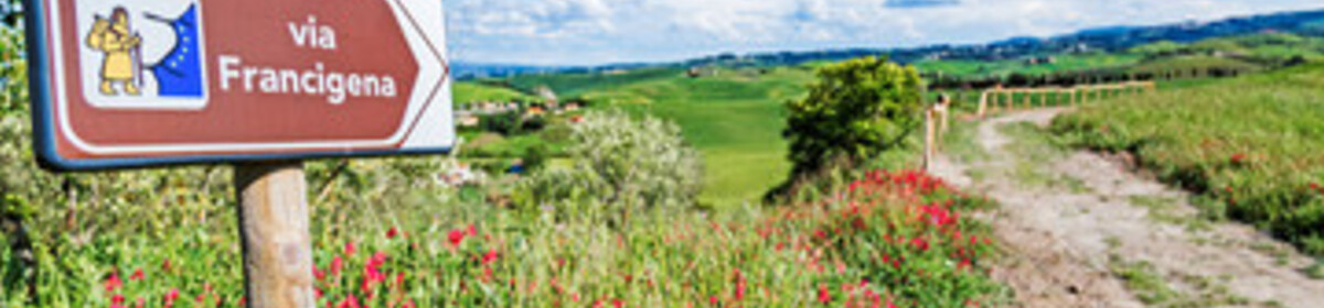 Banner francigena