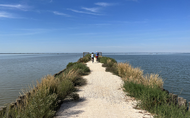 L'Argine degli Angeli in e-bike