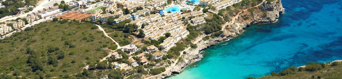 Banner 36181086 original